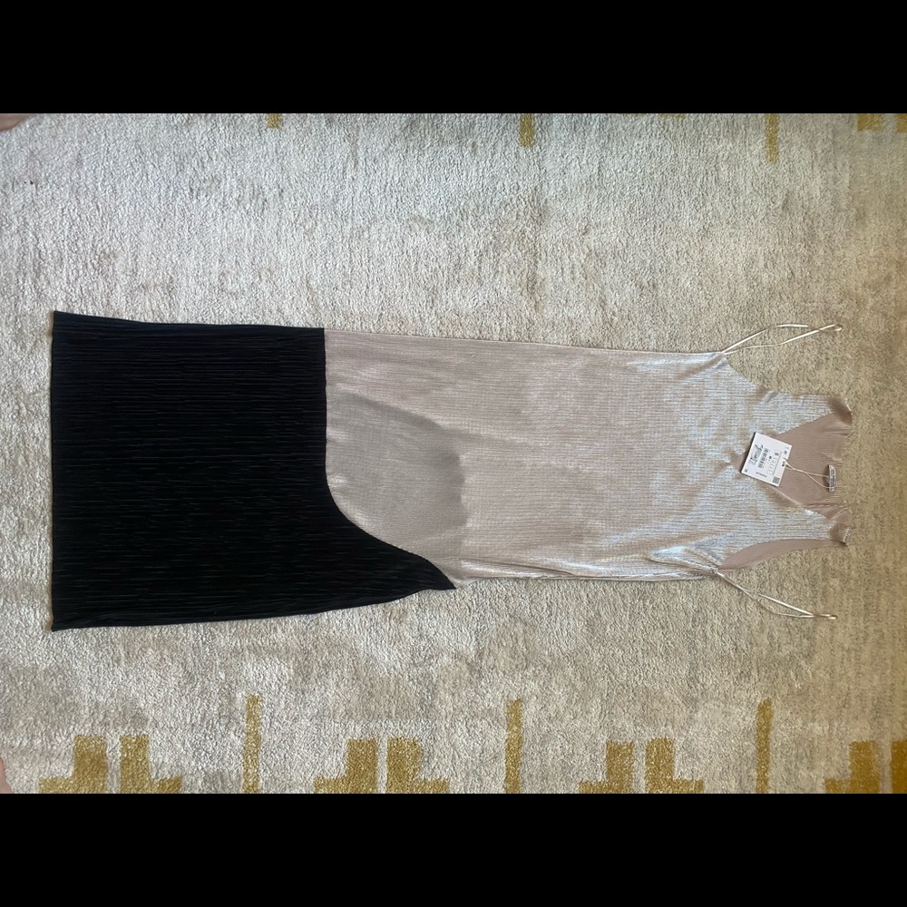 NWT Zara metallic maxi dress